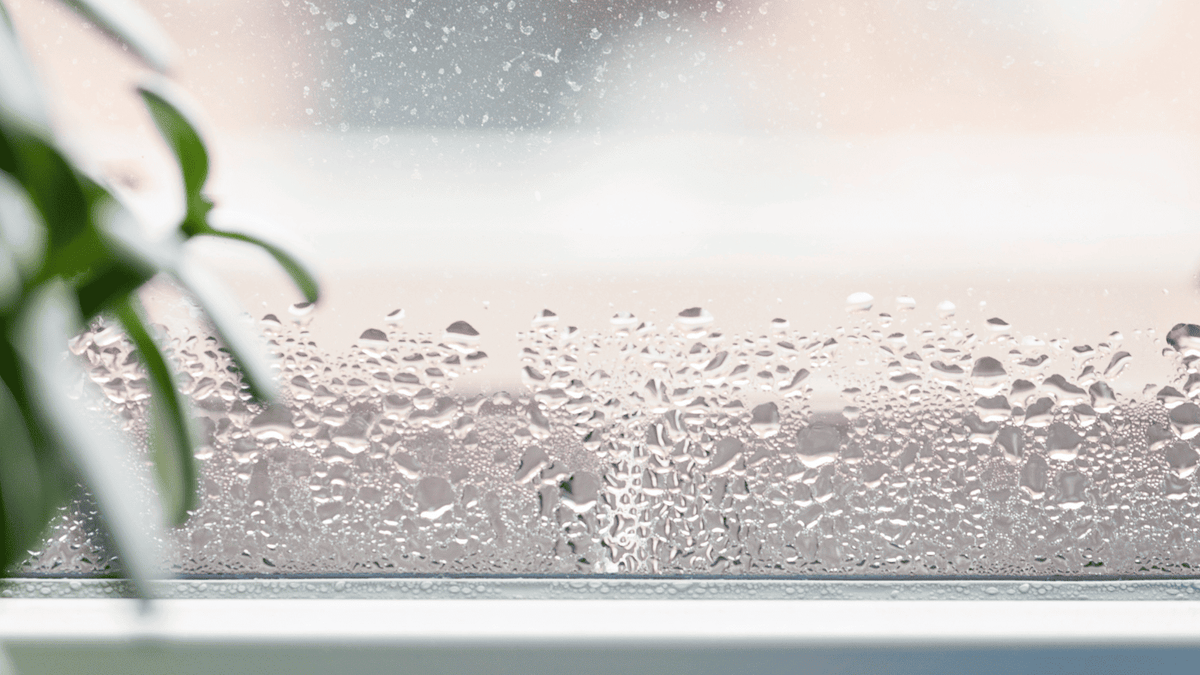 Blog-Bilder Kondensation am Fenster