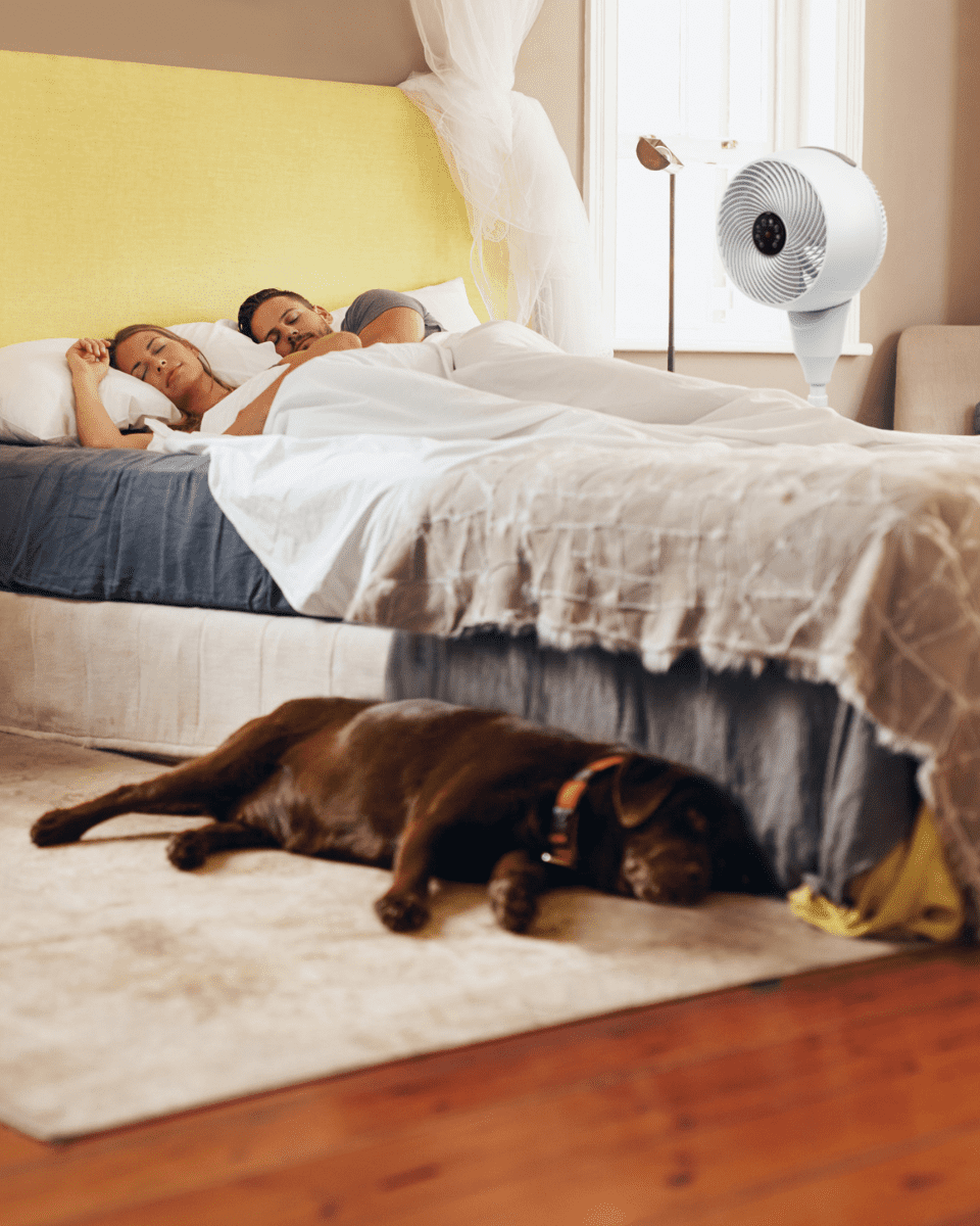 Ventilatoren für kühle Erfrischung an heißen Sommertagen und -nächten