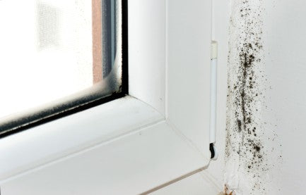 Wie ein Luftentfeuchter zuhause hilft, das ganze Jahr über Energie zu sparen