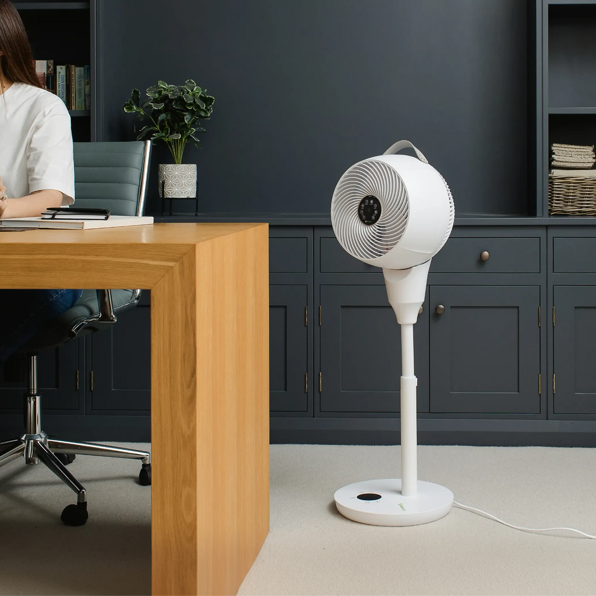 MeacoFan 1056P Ventilateur sur pied