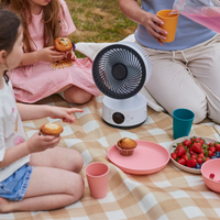 MeacoFan Sefte® 6 Tischventilator