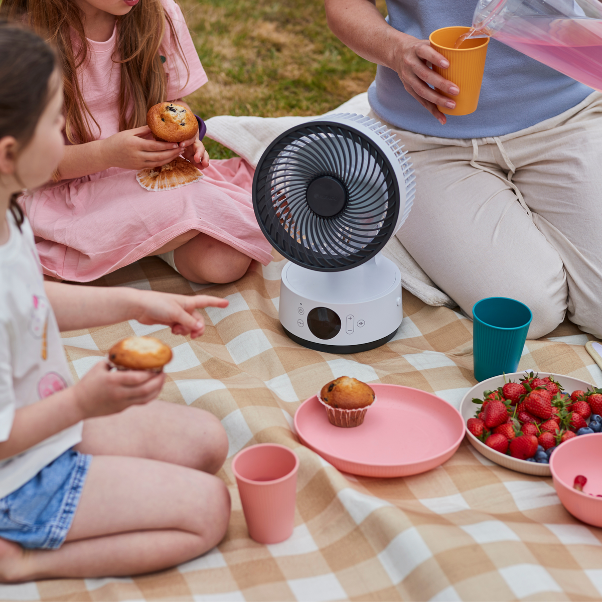 MeacoFan Sefte® 6 Tischventilator